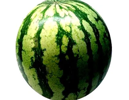 gömb alakú