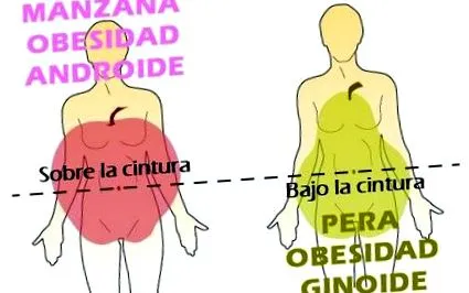 gynoid