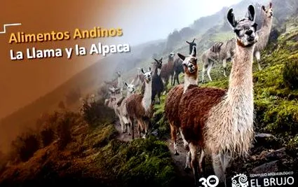 хранителни