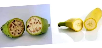 keto