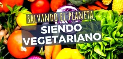 vegetáriánus