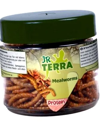 mealworms
