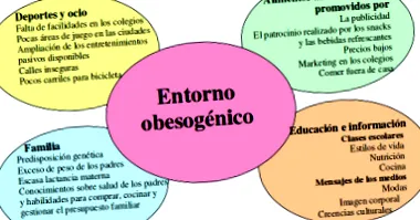 elhízás