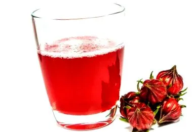 хибискус