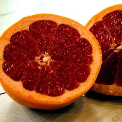 grapefruit