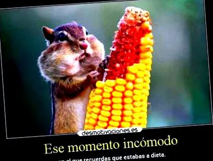 taringa