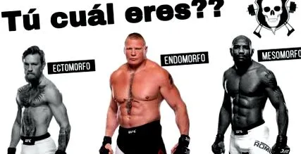 endomorphák