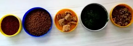 ételfajták