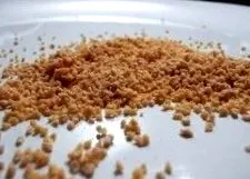 lecitin
