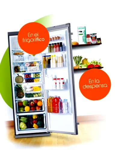 enerzona