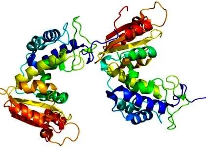 myeloma