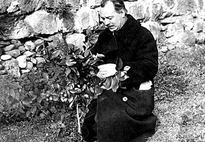 Leningrád ostroma