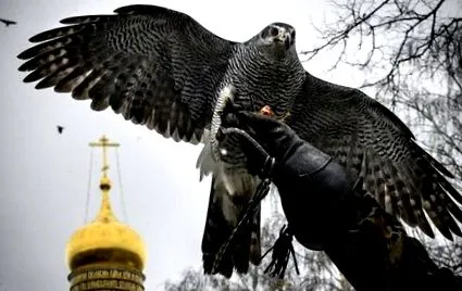 кремъл