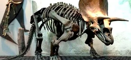 беше
