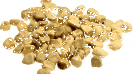 кооператива