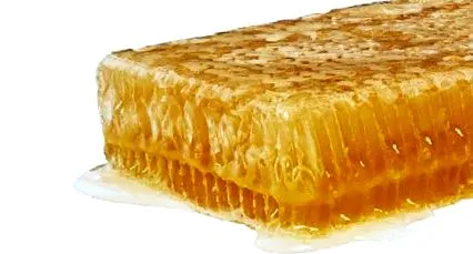 хранене