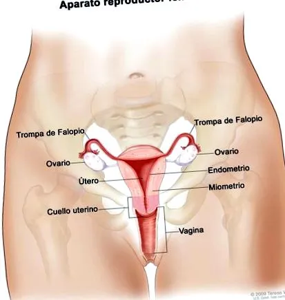 cancerhelp