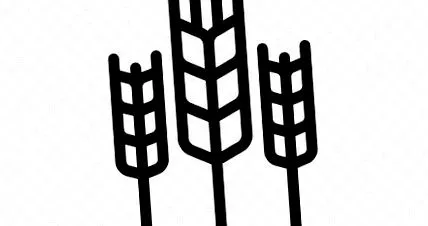 avanti