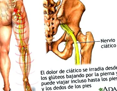 енциклопедія medlineplus