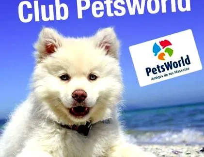 клуб petsworld