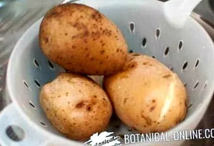 характеристики