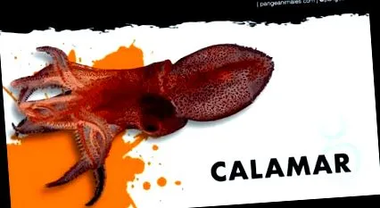 какво