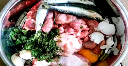 куче