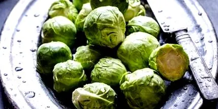 брюкселско