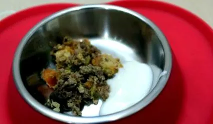 кучета