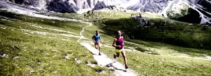 спортна