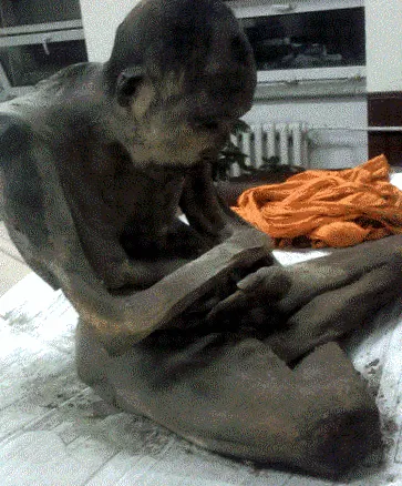 монголският