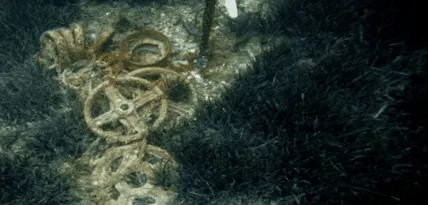море