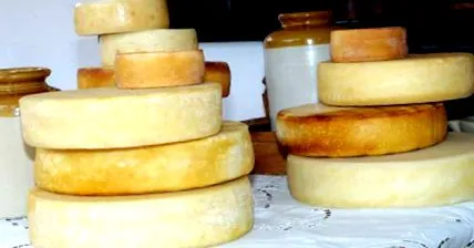 суроватката