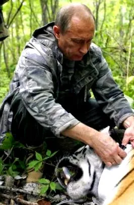 дома