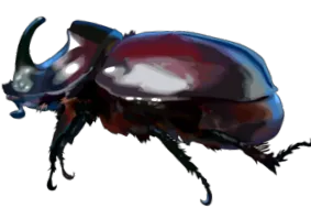 canariwiki