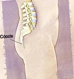ccix