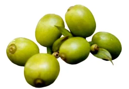 кафе