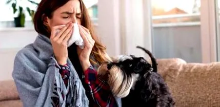 любов