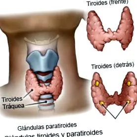 стационарни