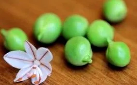 чоловіче чоловіче