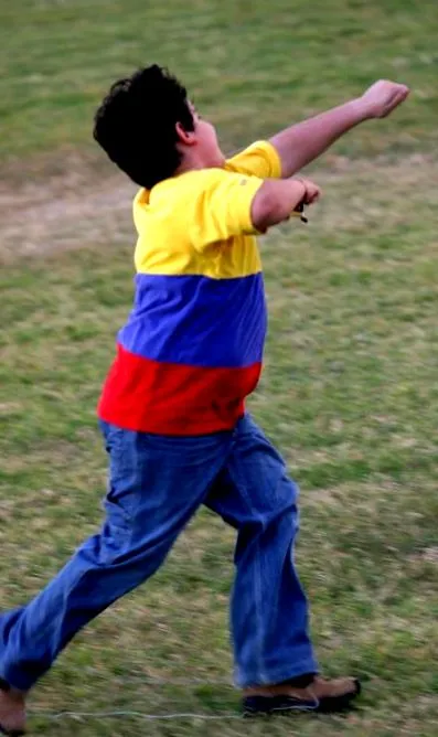 спосіб жирна