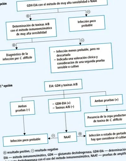 псевдомембранозний інфекція