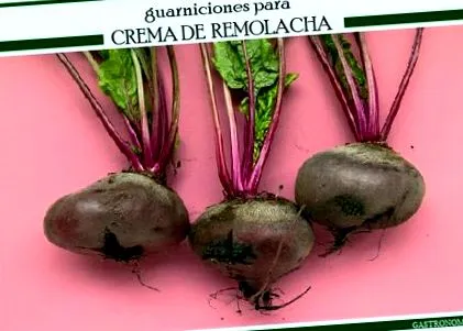 венера