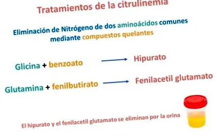 водач