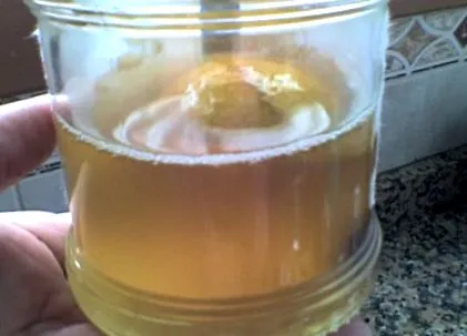 kéfir