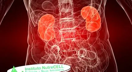 nutrecell