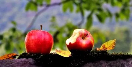 apple