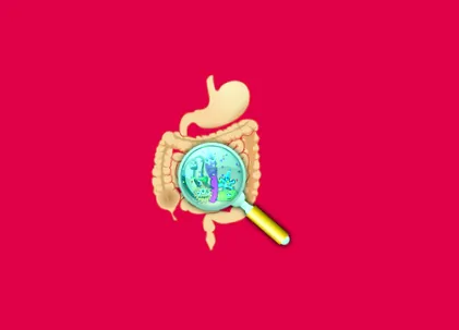 флора
