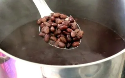 растения палео