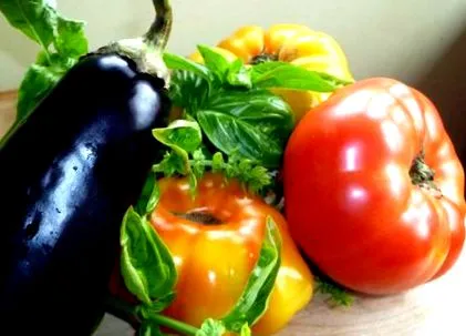 solanaceae